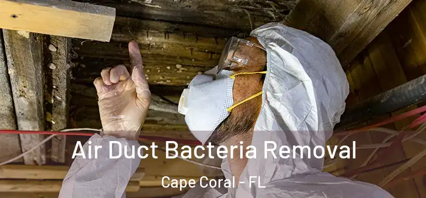  Air Duct Bacteria Removal Cape Coral - FL