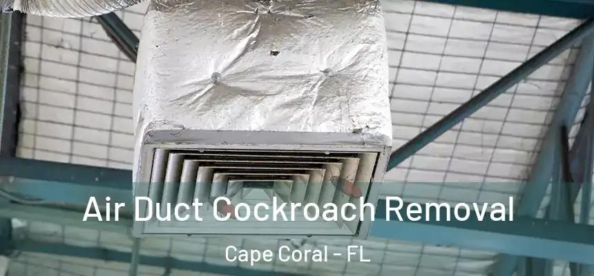 Air Duct Cockroach Removal Cape Coral - FL