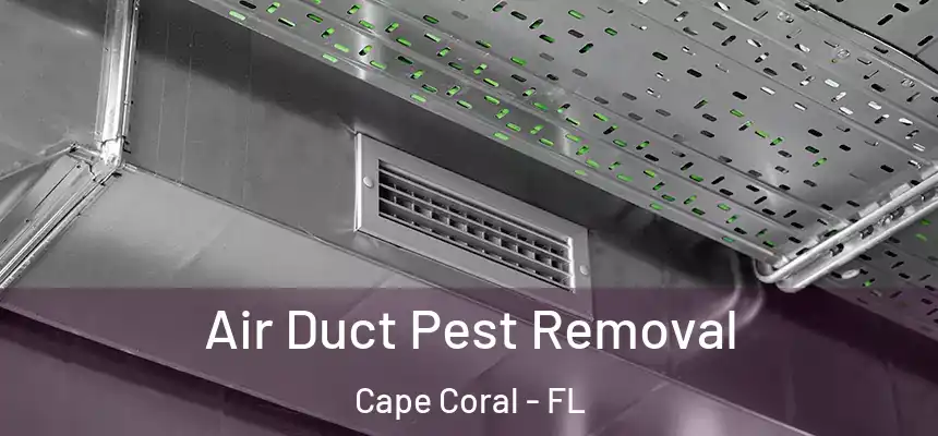 Air Duct Pest Removal Cape Coral - FL