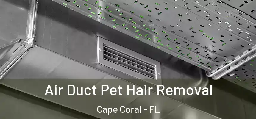 Air Duct Pet Hair Removal Cape Coral - FL