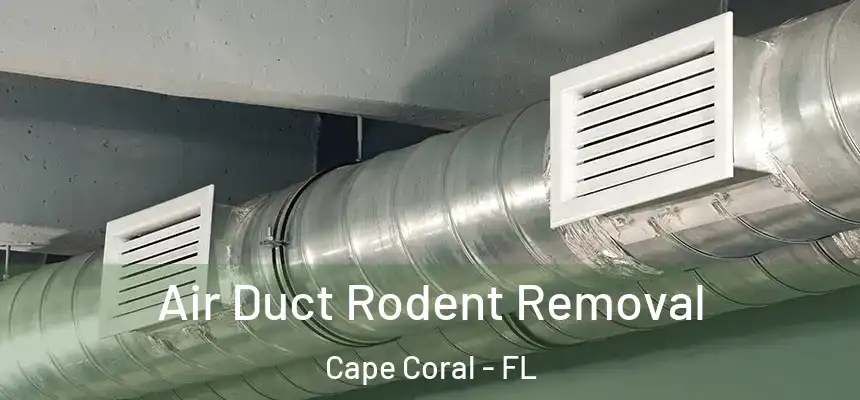 Air Duct Rodent Removal Cape Coral - FL