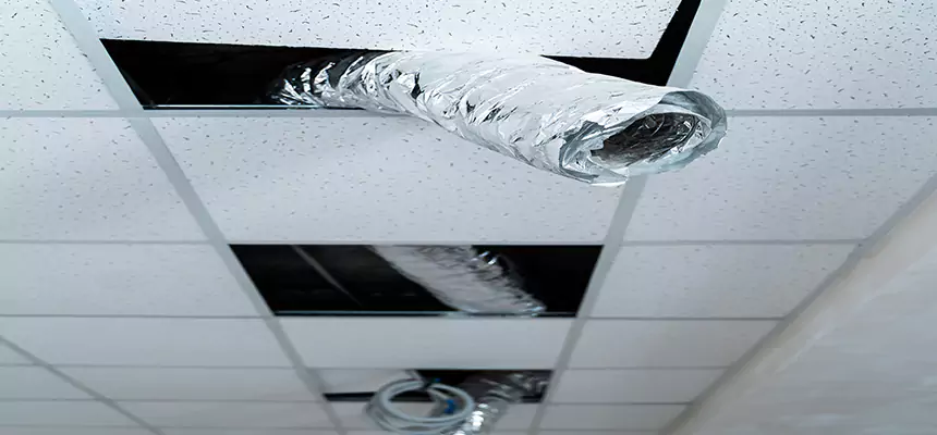 Affordable HVAC Sanitizing After Pest Removal in Cape Coral