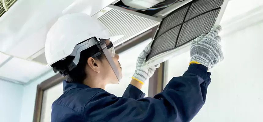 Our Mold & Mildew Removal from Air Ducts Services in Cape Coral, FL