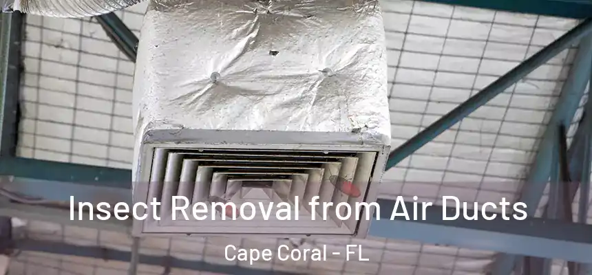  Insect Removal from Air Ducts Cape Coral - FL