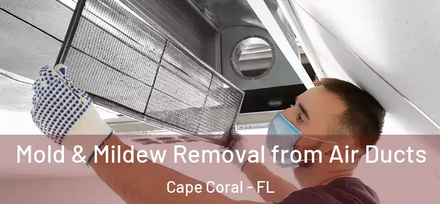 Mold & Mildew Removal from Air Ducts Cape Coral - FL