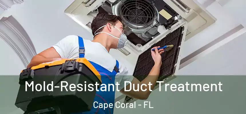 Mold-Resistant Duct Treatment Cape Coral - FL