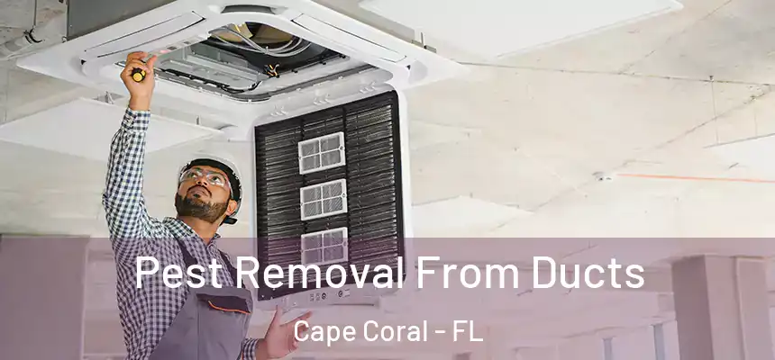 Pest Removal From Ducts Cape Coral - FL