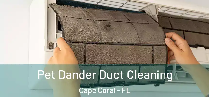 Pet Dander Duct Cleaning Cape Coral - FL