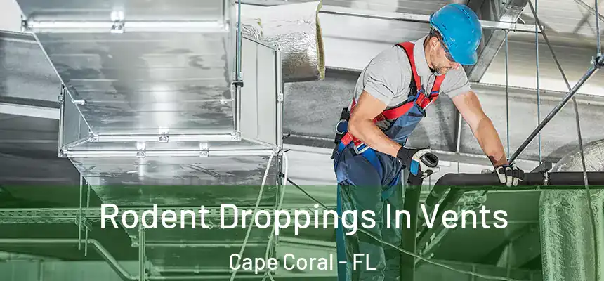 Rodent Droppings In Vents Cape Coral - FL