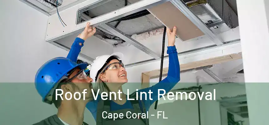 Roof Vent Lint Removal Cape Coral - FL