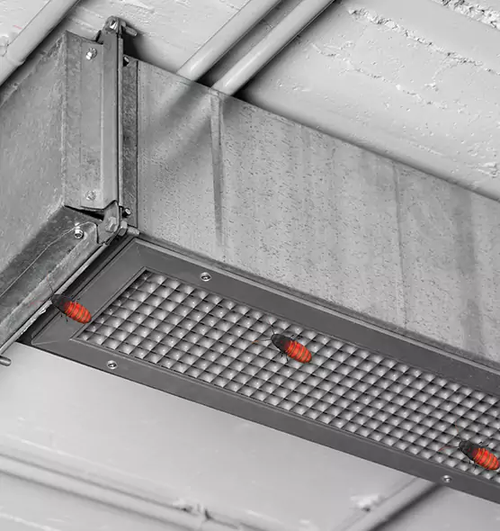 About Air Duct Cockroach Removal in Cape Coral, FL
