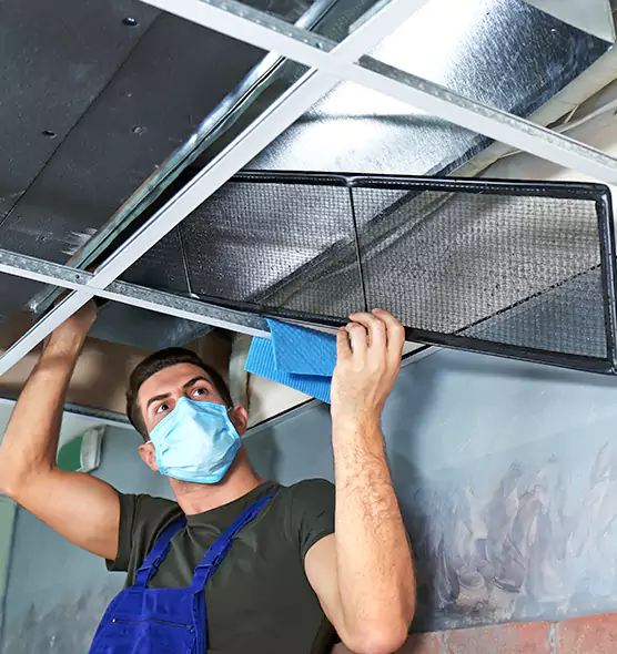 Professional Air Duct Pollen Cleaning in Cape Coral, FL