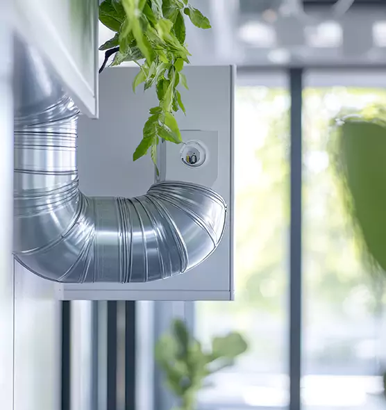 Professional Eco-Safe Dryer Vent Cleaning in Cape Coral, FL