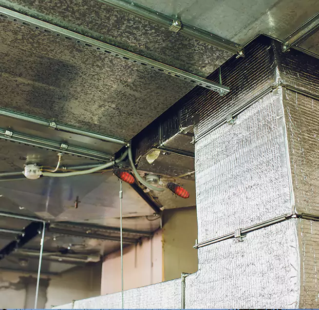 Why Homeowners & Businesses Trust Us in Cape Coral, FL?