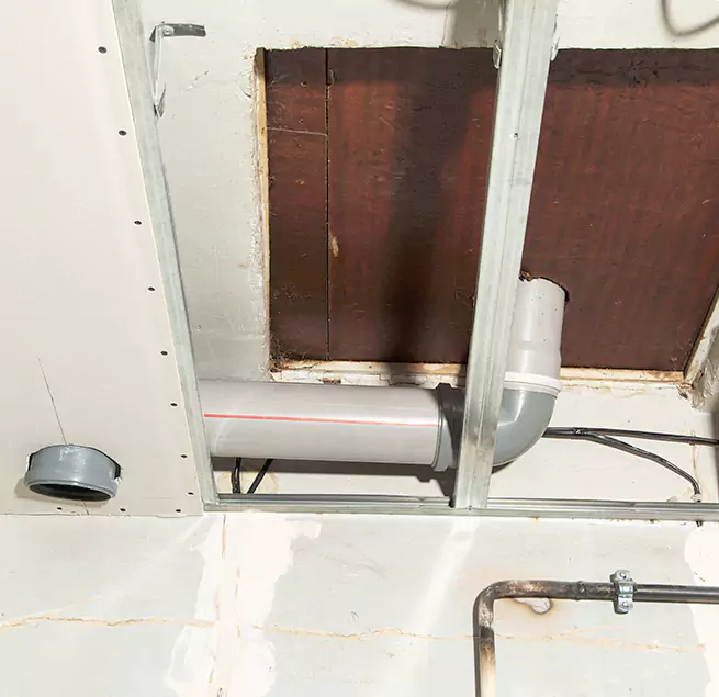 Why Homeowners & Businesses Trust Us in Cape Coral, FL?