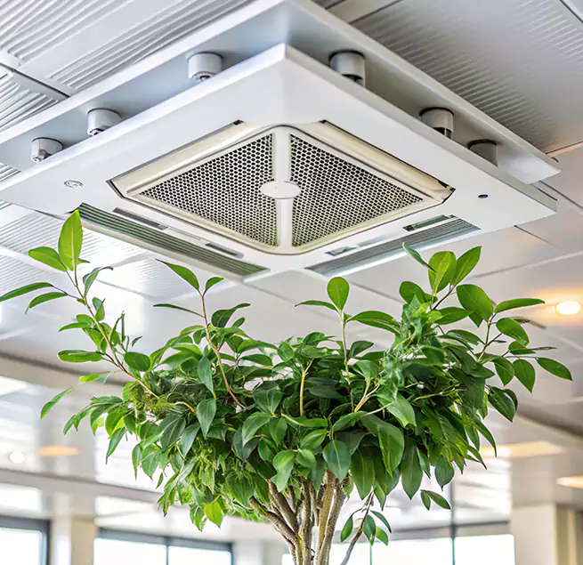 Why Homeowners & Businesses Trust Us in Cape Coral, FL