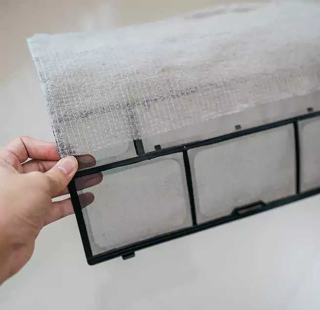 Why Homeowners & Businesses Trust Us in Cape Coral, FL?