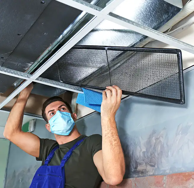 Why Homeowners & Businesses Trust Us in Cape Coral, FL?