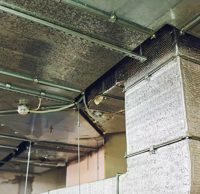 Why Homeowners & Businesses Trust Us in Cape Coral, FL?